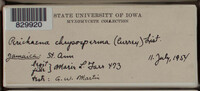 Image Associated With the Occurence